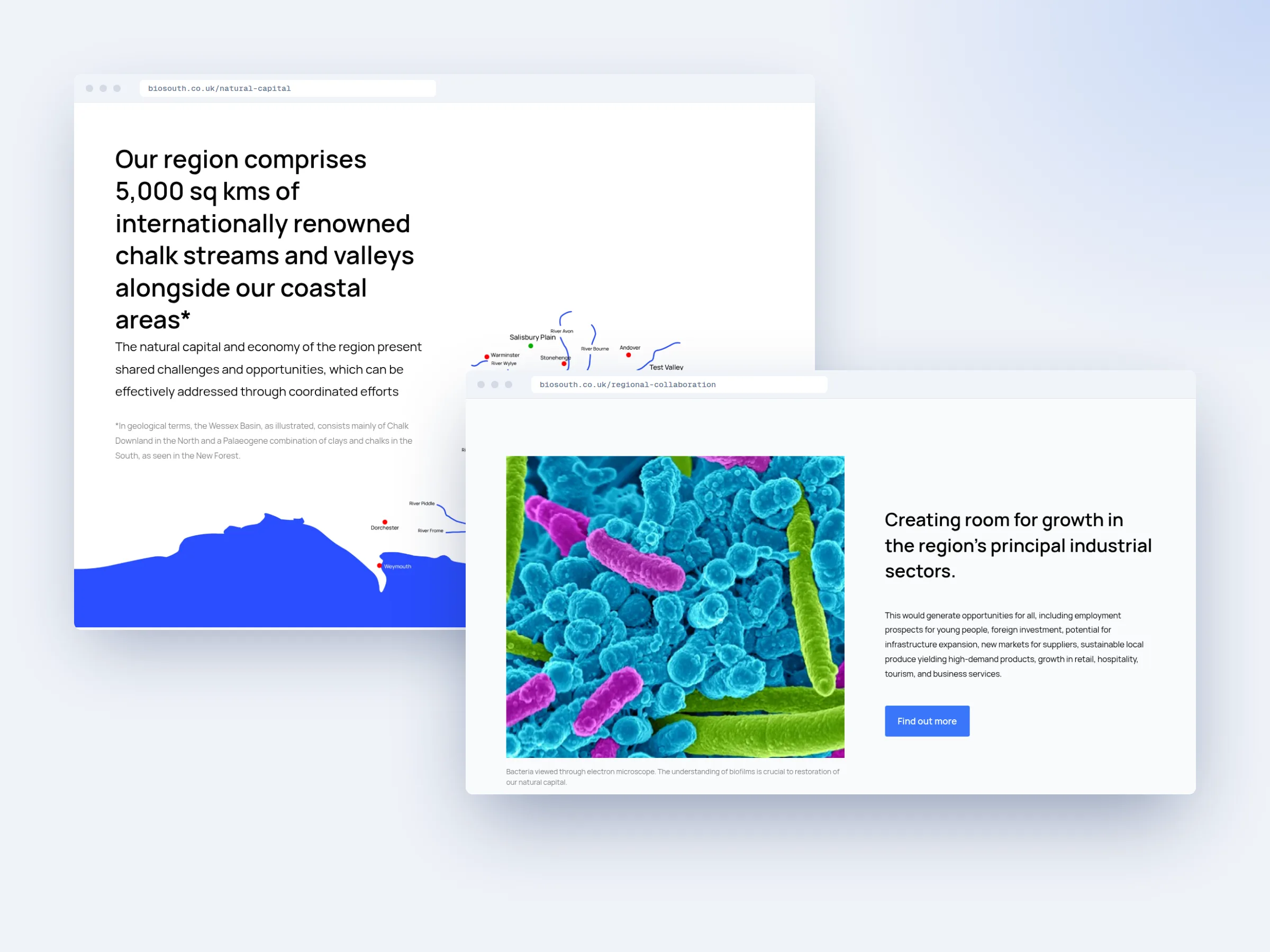 Biosouth — image 3