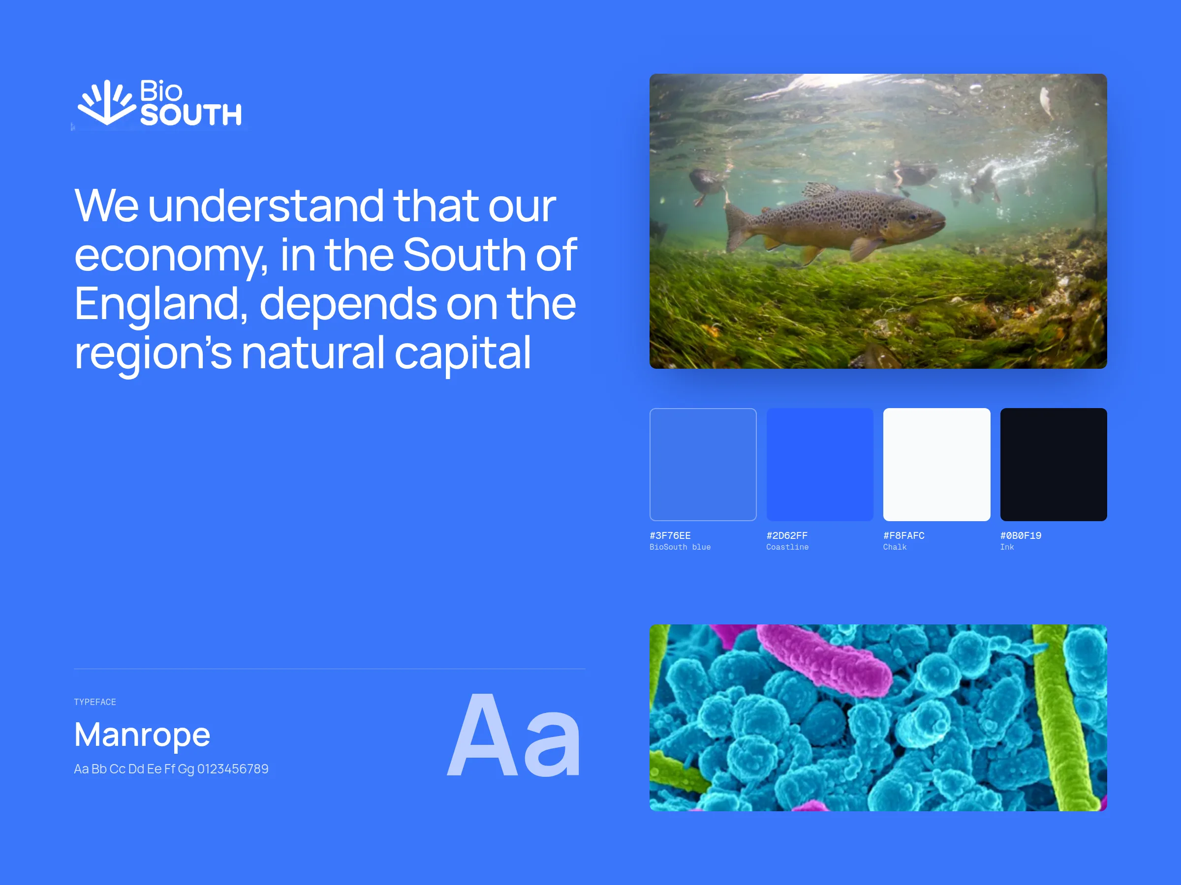 Biosouth — image 4