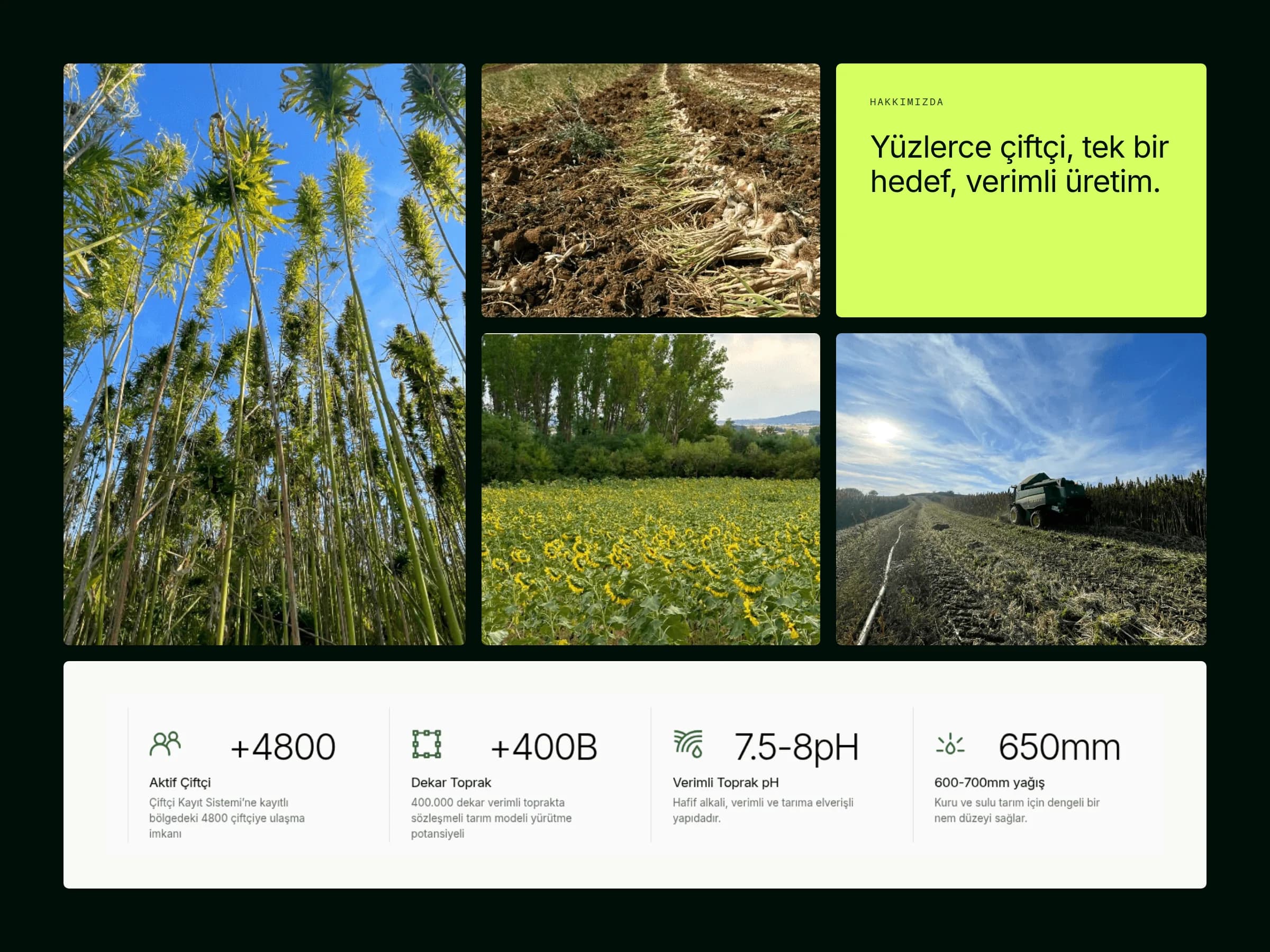 BOBA Agriculture — image 2